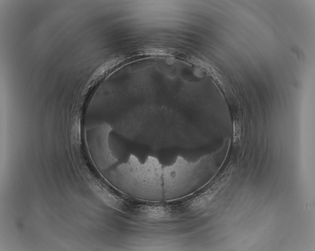 X0000111420349200907131207