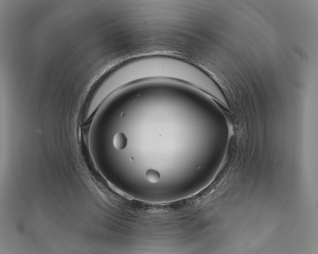 X0000111420350200907131207