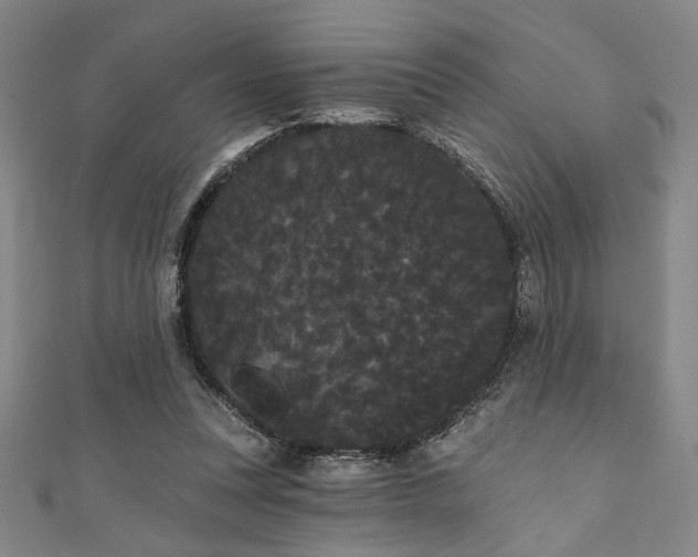 X0000111420351200907131207