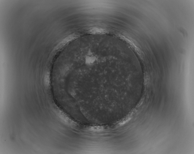 X0000111420353200907131207