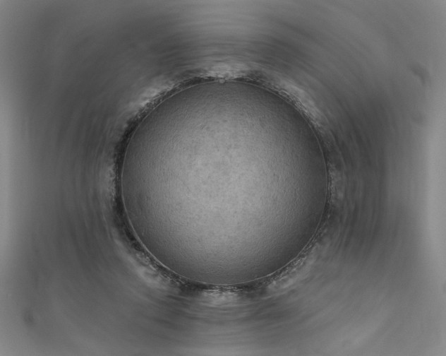 X0000111420354200907131207