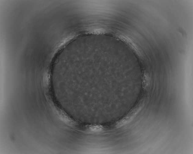 X0000111420355200907131207