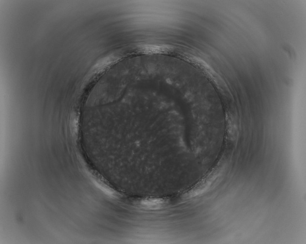 X0000111420357200907131207