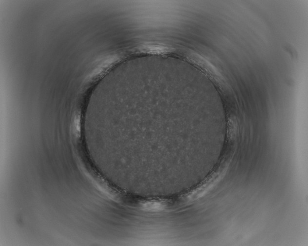 X0000111420358200907131207