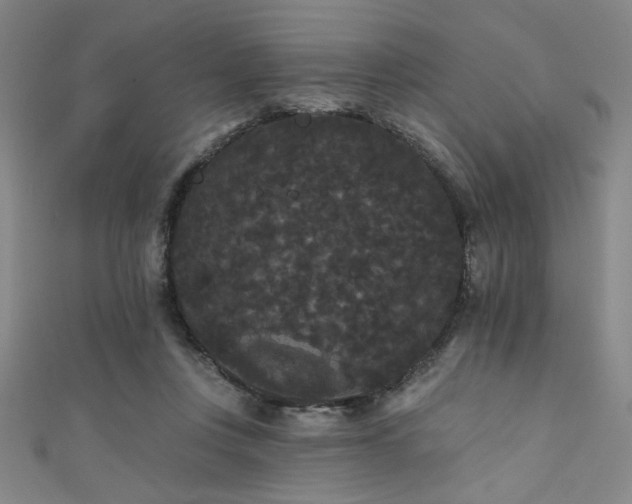 X0000111420359200907131207