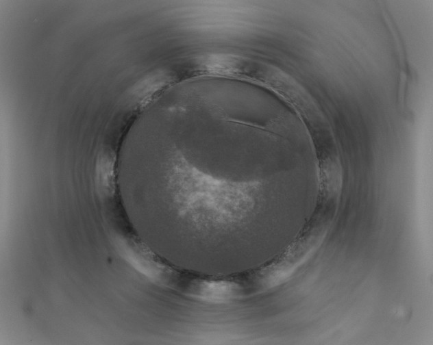 X0000111420360200907131207