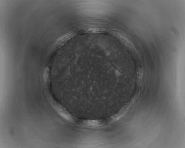 X0000111420361200907131207