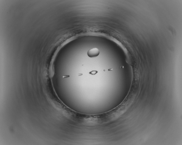 X0000111420362200907131207