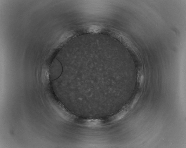 X0000111420363200907131207