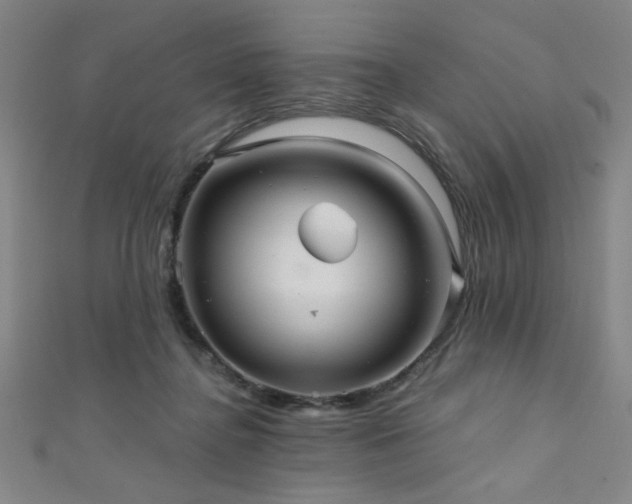 X0000111420364200907131207