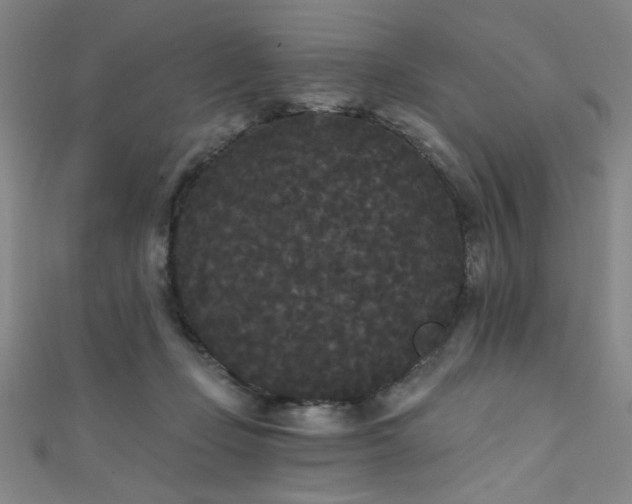 X0000111420365200907131207