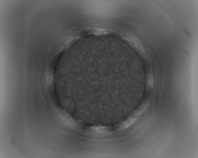 X0000111420367200907131207