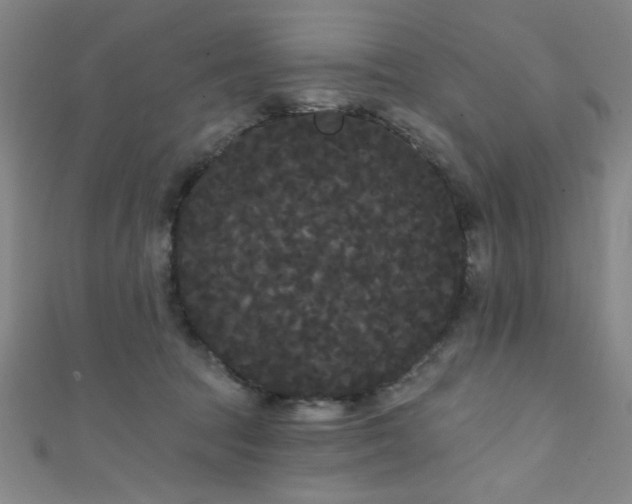 X0000111420369200907131207