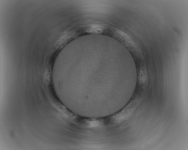 X0000111420370200907131207