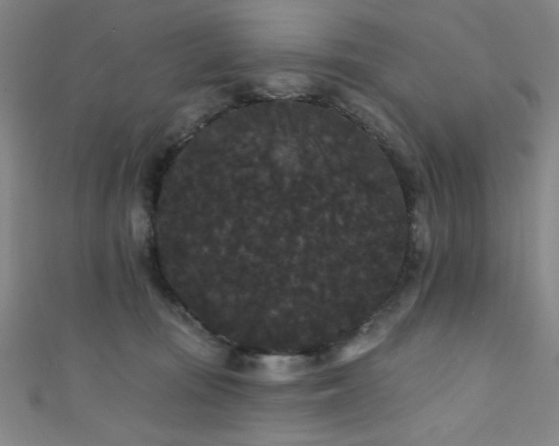 X0000111420371200907131207