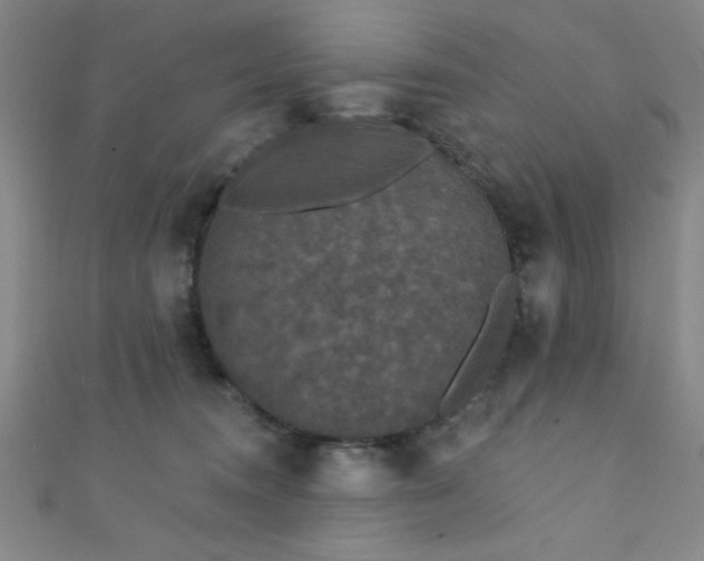 X0000111420372200907131207