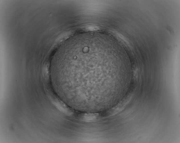 X0000111420373200907131207