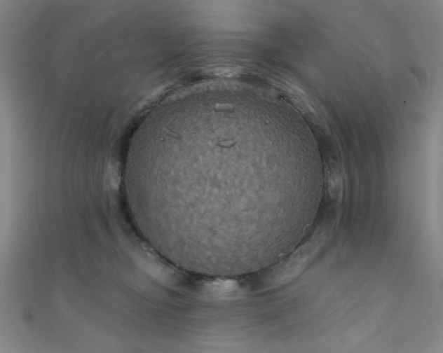 X0000111420374200907131207