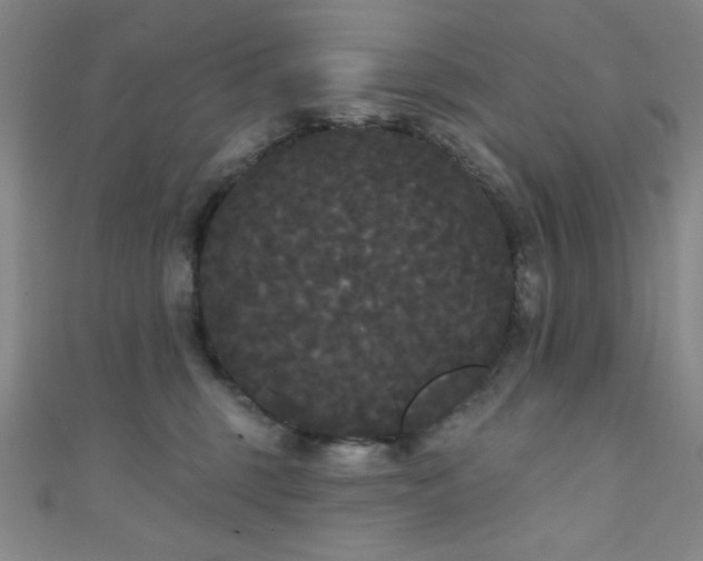 X0000111420375200907131207