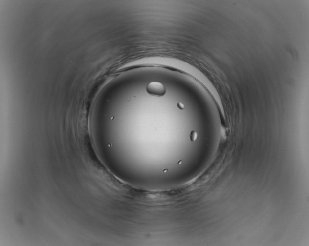 X0000111420376200907131207