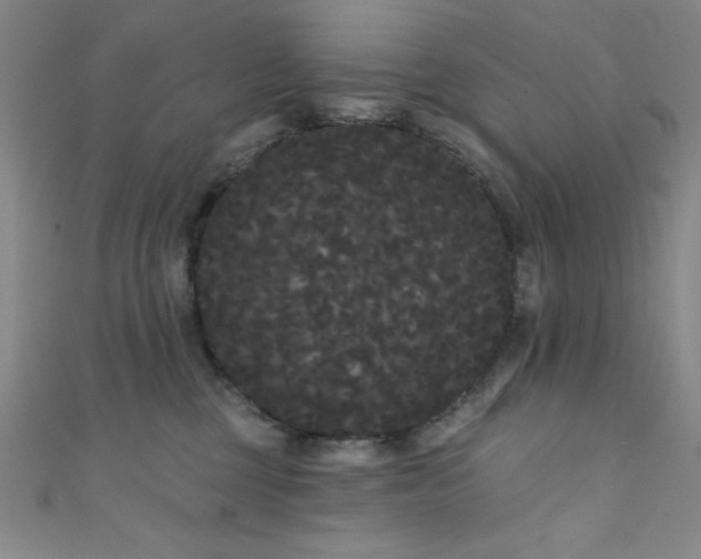 X0000111420377200907131207