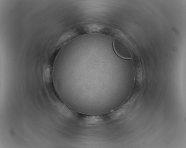 X0000111420378200907131207