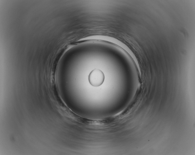 X0000111420380200907131207