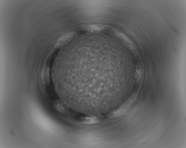 X0000111420381200907131207