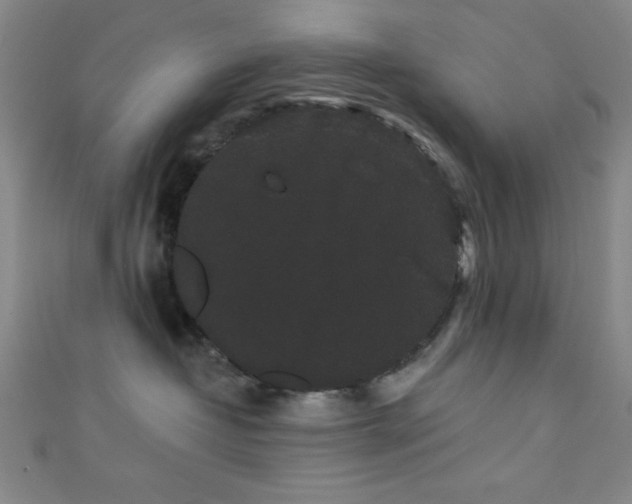 X0000111420382200907131207