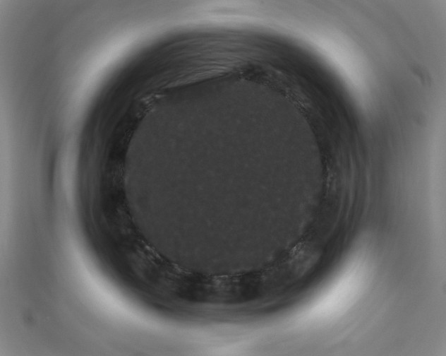 X0000111420383200907131207