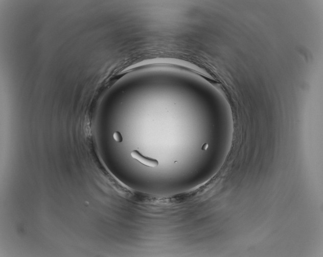 X0000111420384200907131207