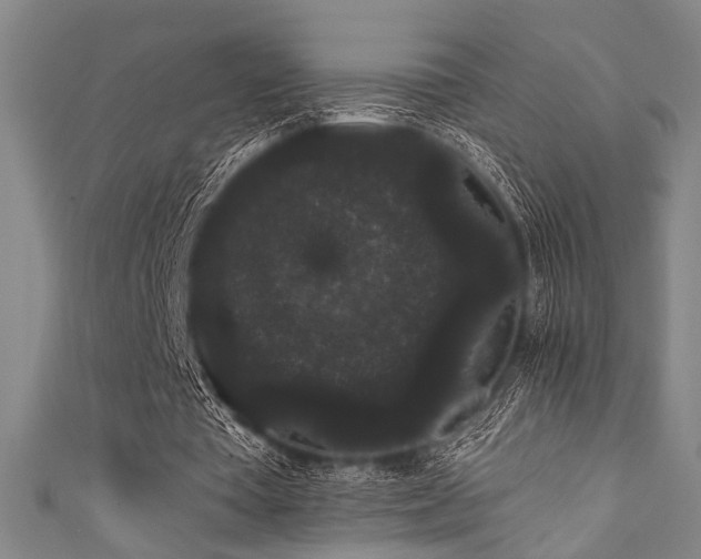 X0000111420385200907131207