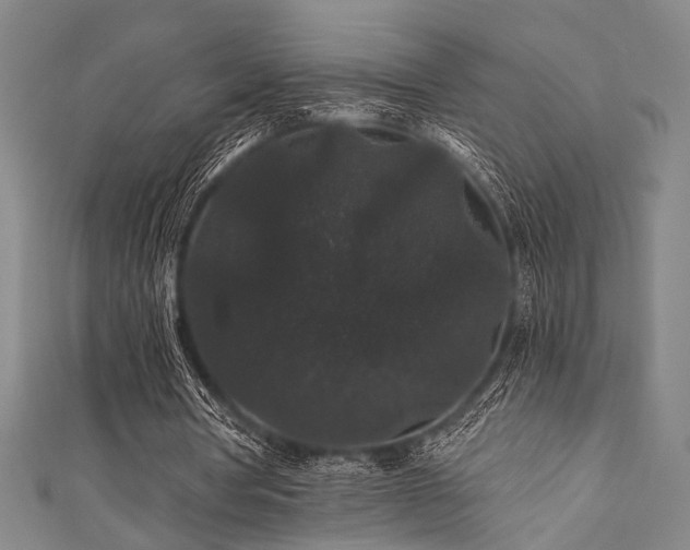 X0000111420386200907131207