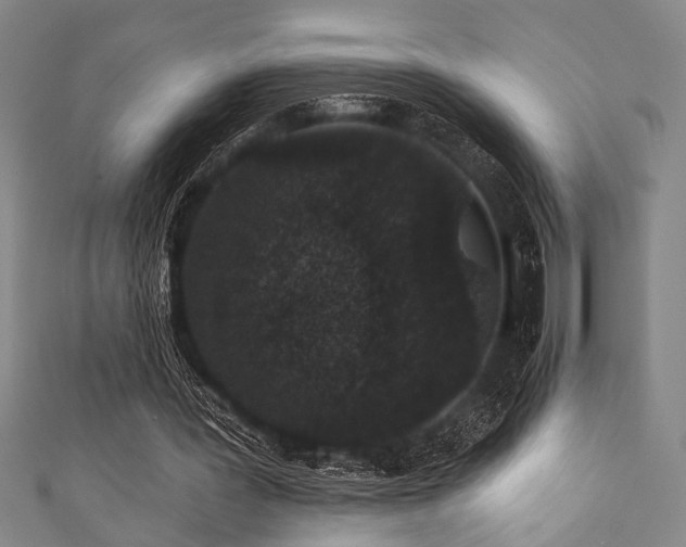 X0000111420387200907131207