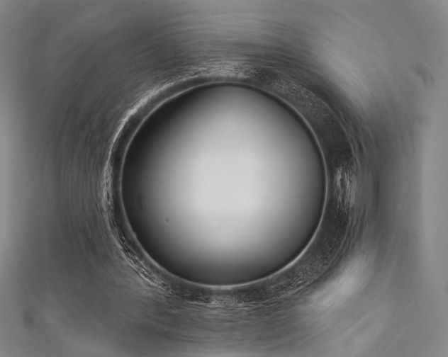 X0000111420388200907131207