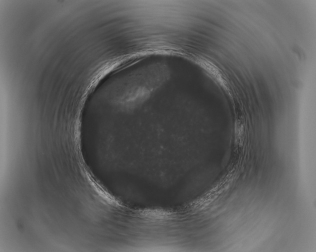 X0000111420389200907131207