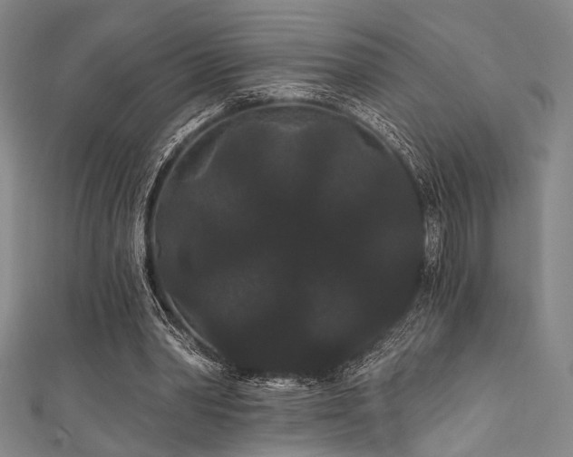 X0000111420390200907131206