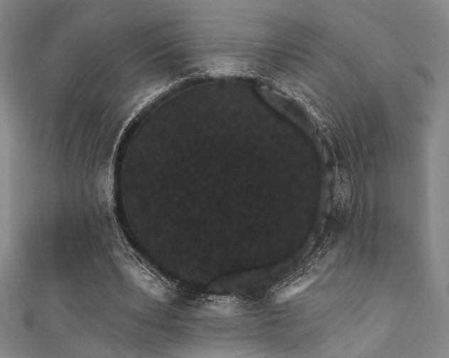 X0000111420391200907131206