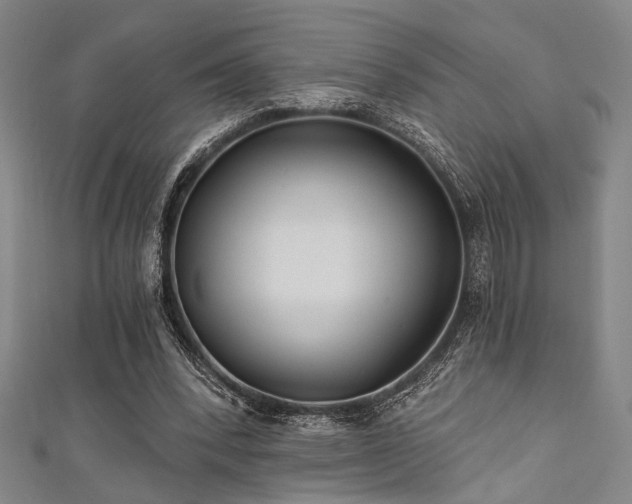 X0000111420392200907131206