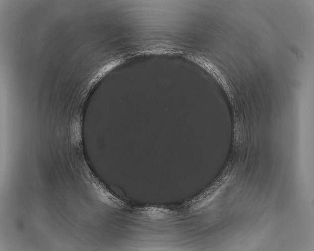 X0000111420393200907131206