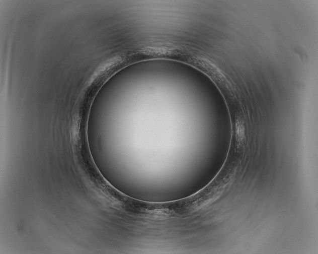 X0000111420396200907131206