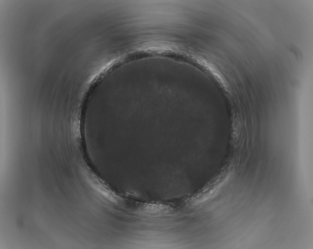 X0000111420399200907131206