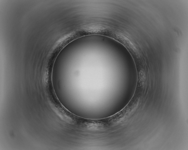 X0000111420400200907131206