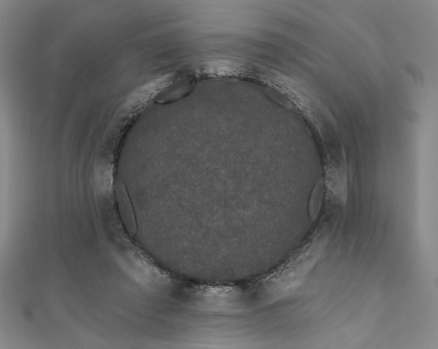 X0000111420401200907131206