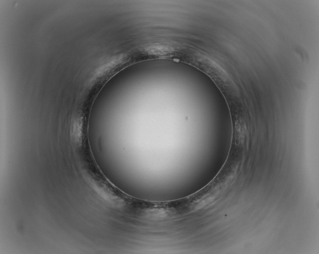 X0000111420404200907131206