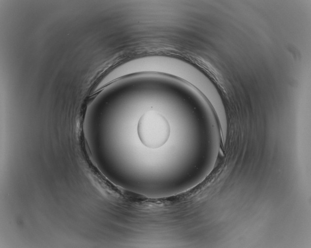 X0000111420405200907131206