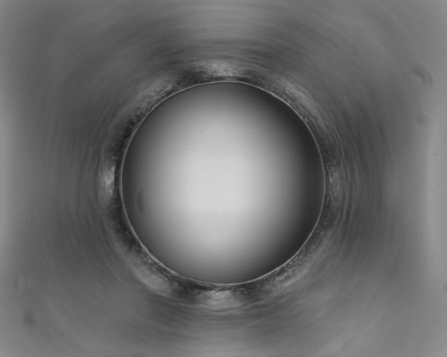 X0000111420406200907131206