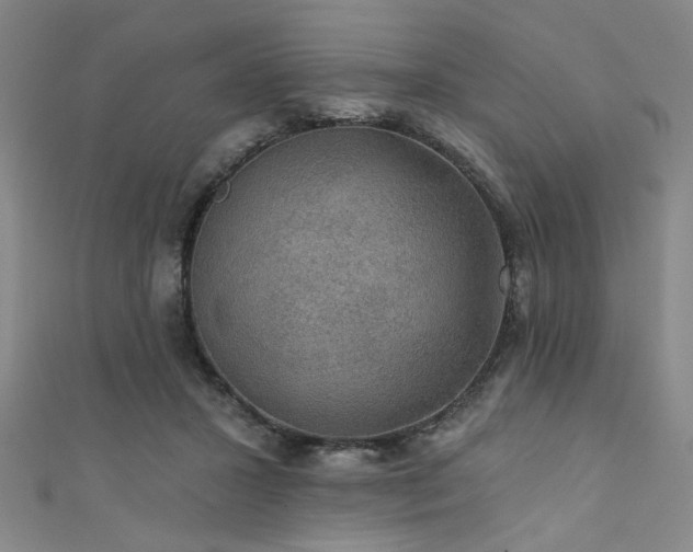 X0000111420407200907131206