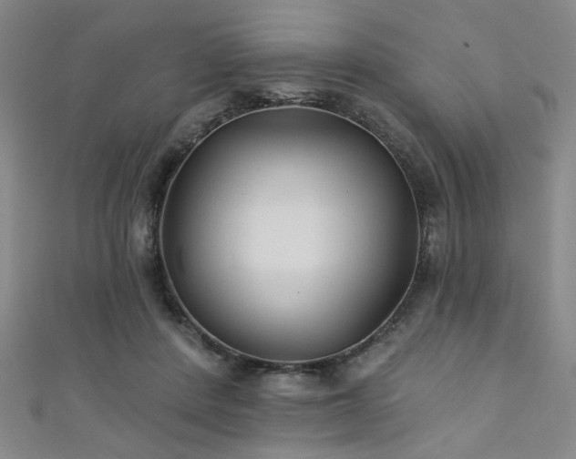 X0000111420408200907131206