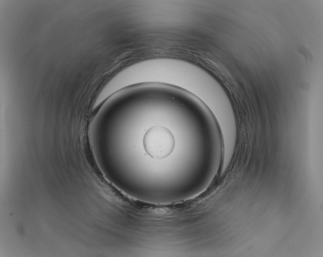 X0000111420409200907131206